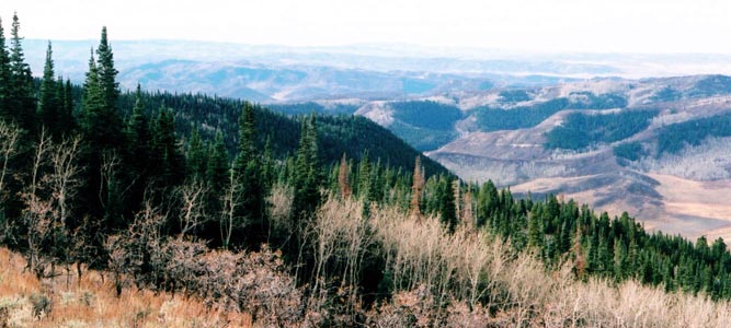 Views on Elk Mountain