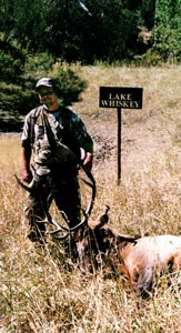 elk hunting