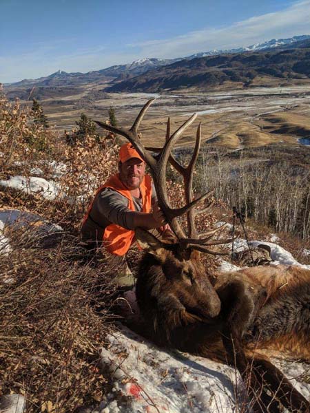 big bull elk 